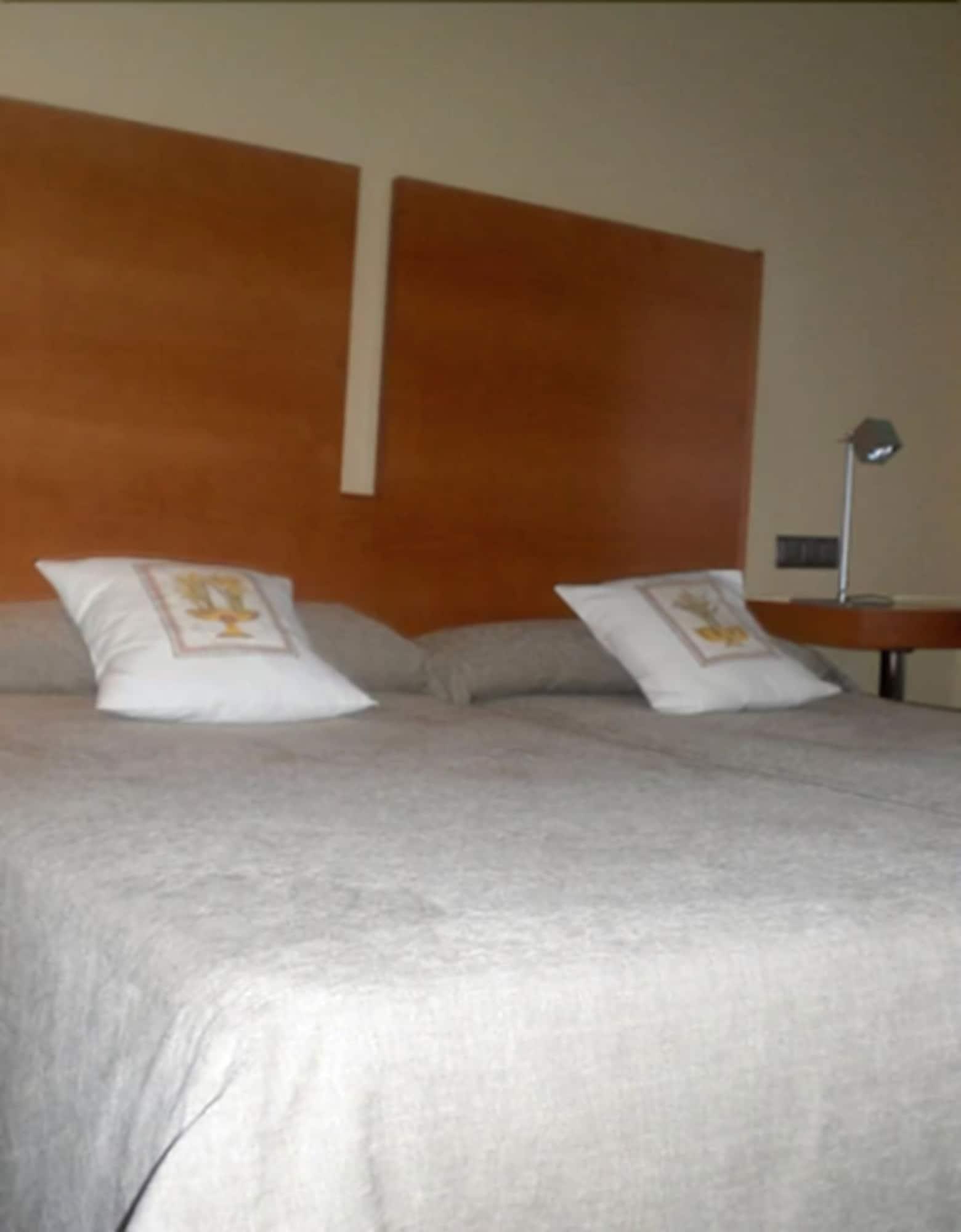 Hotel Gran Regente Oviedo Buitenkant foto